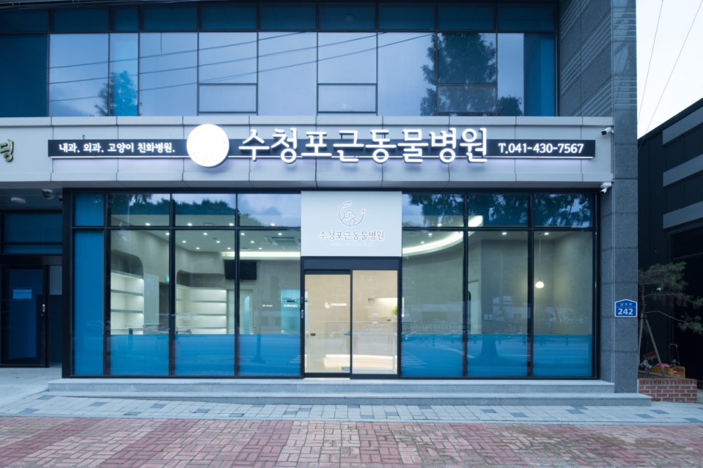 수청포근동물병원 사진 1