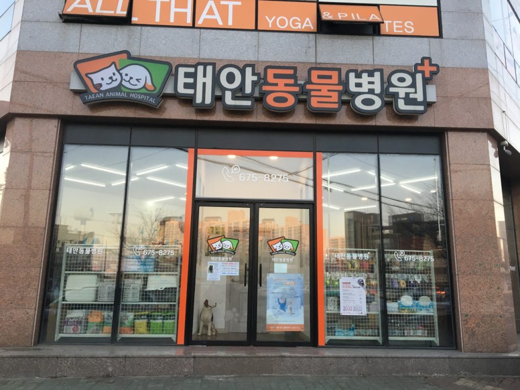 태안동물병원 사진 1