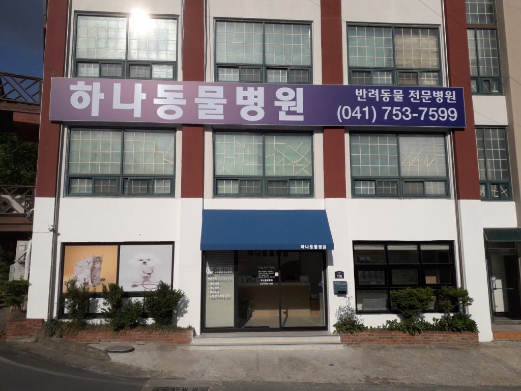 하나동물병원 사진 1