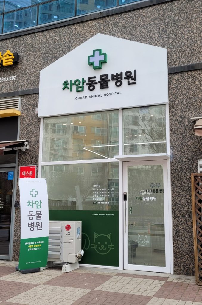 차암동물병원 사진 1