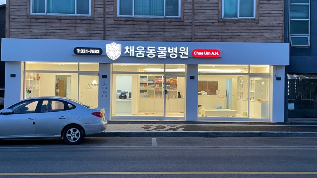채움 동물병원 사진 1
