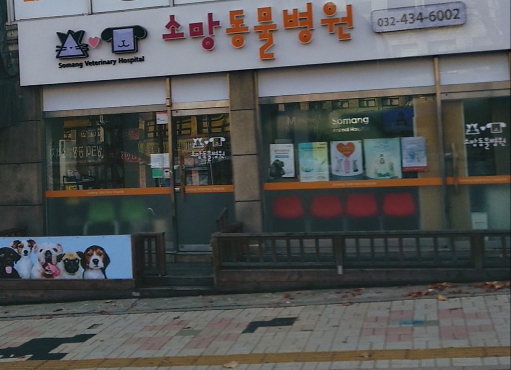 소망동물병원 사진 1