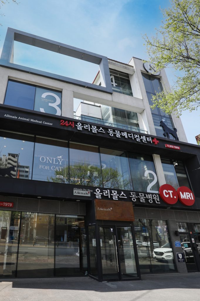 올리몰스동물메디컬센터 사진 1