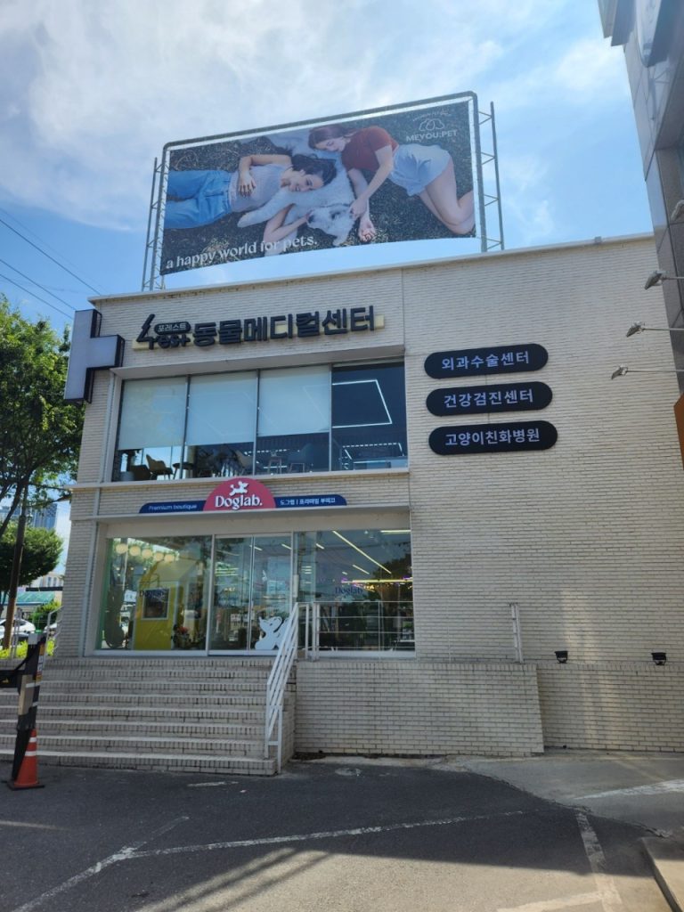 포레스트동물메디컬센터 사진 1