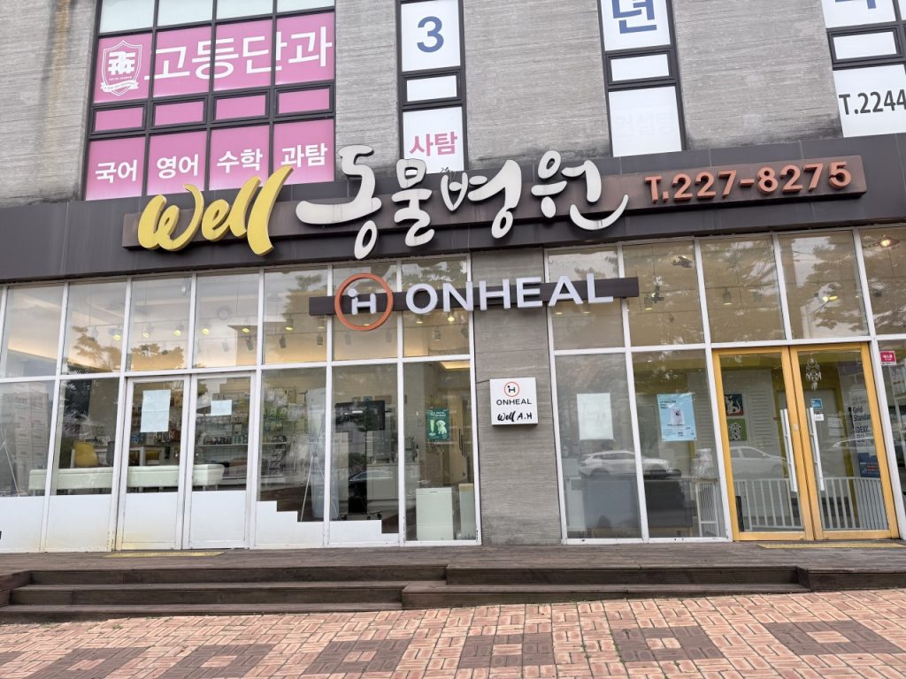 웰동물병원 사진 1