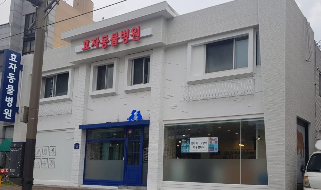 효자동물병원 사진 1