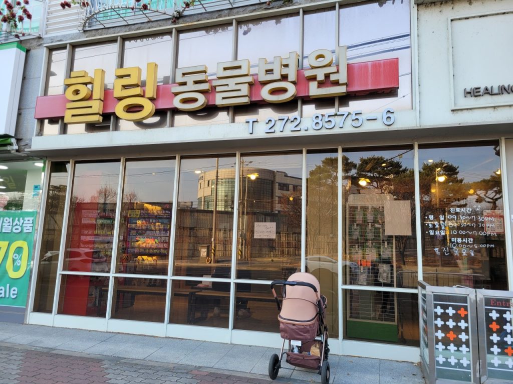 힐링동물병원 사진 1