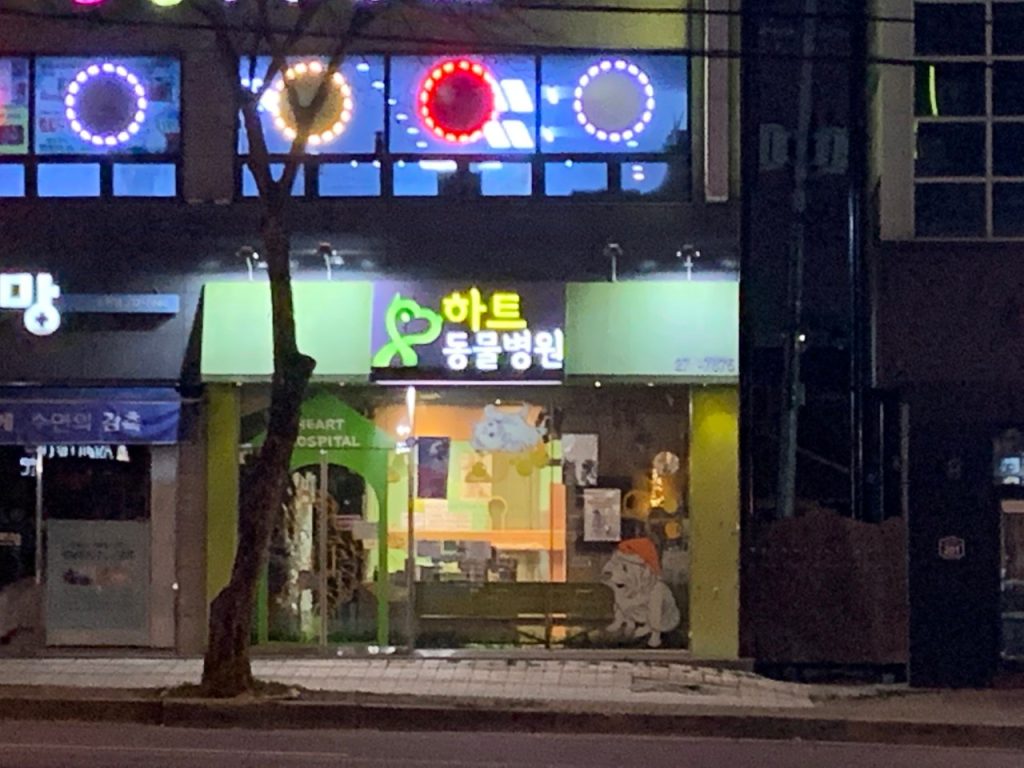 하트동물병원 사진 1