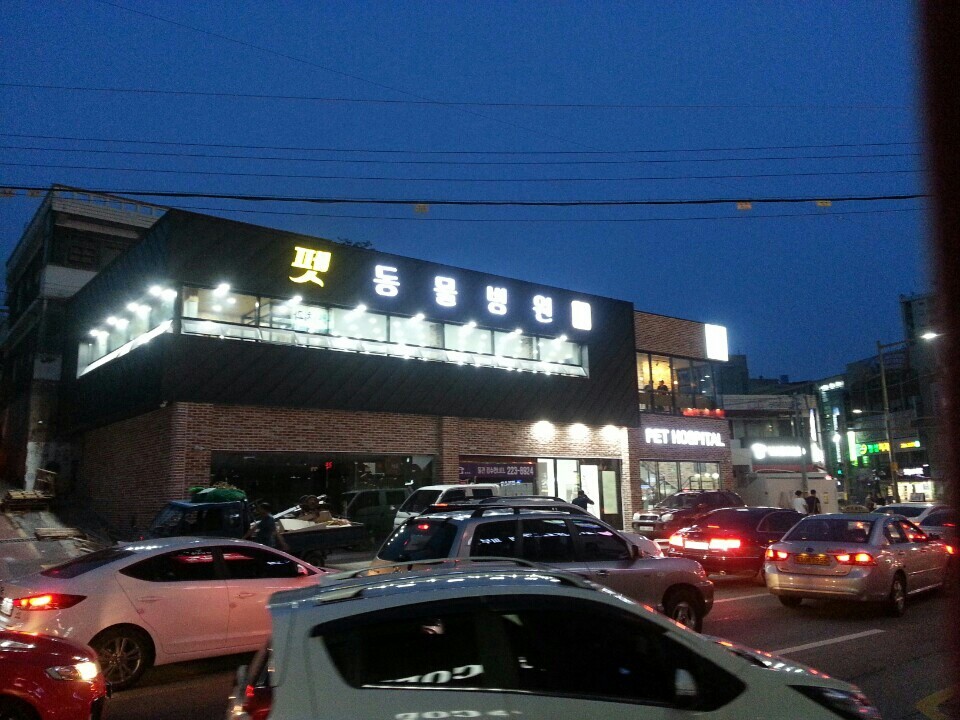 펫동물병원 사진 1