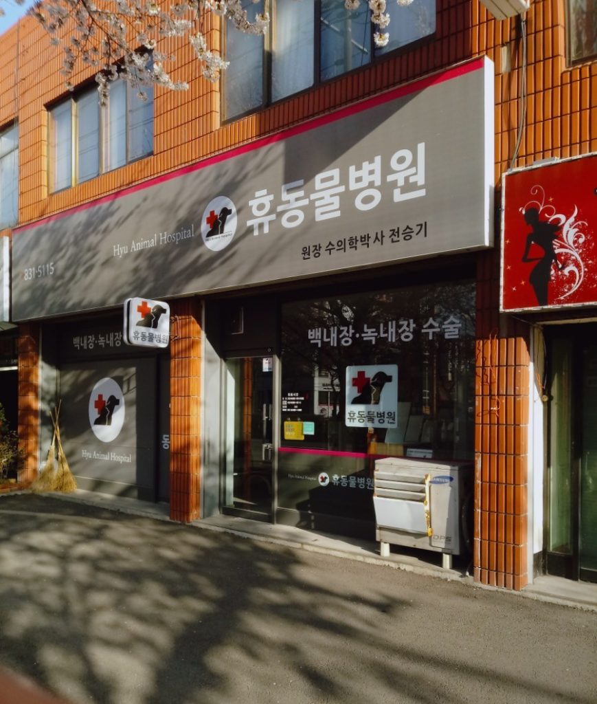 휴안과동물병원 사진 1