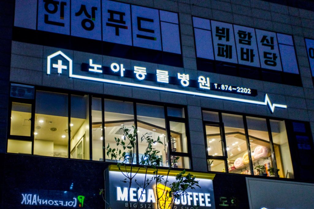 노아동물병원 사진 1