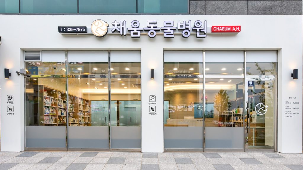 채움동물병원 사진 1