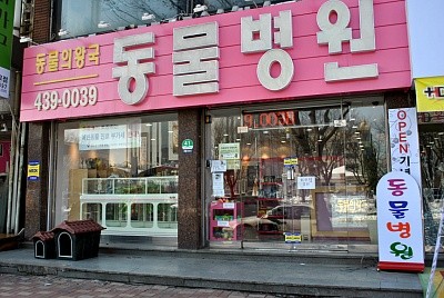 동물의왕국동물병원 사진 1