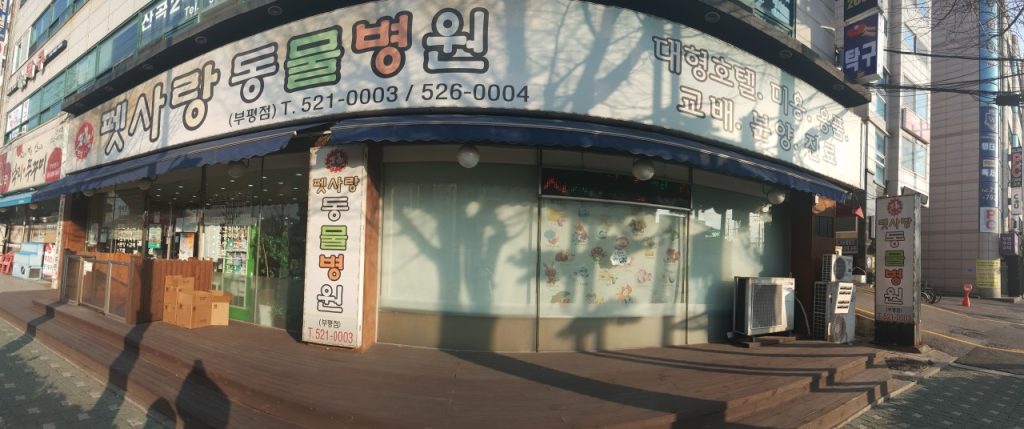 펫사랑동물병원부평점 사진 1