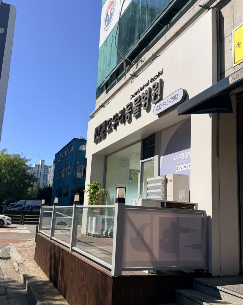 도두리동물병원 사진 1