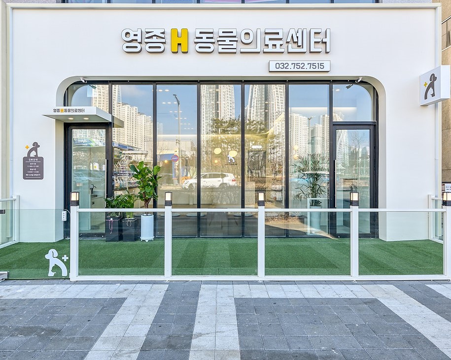 영종H동물의료센터 사진 1