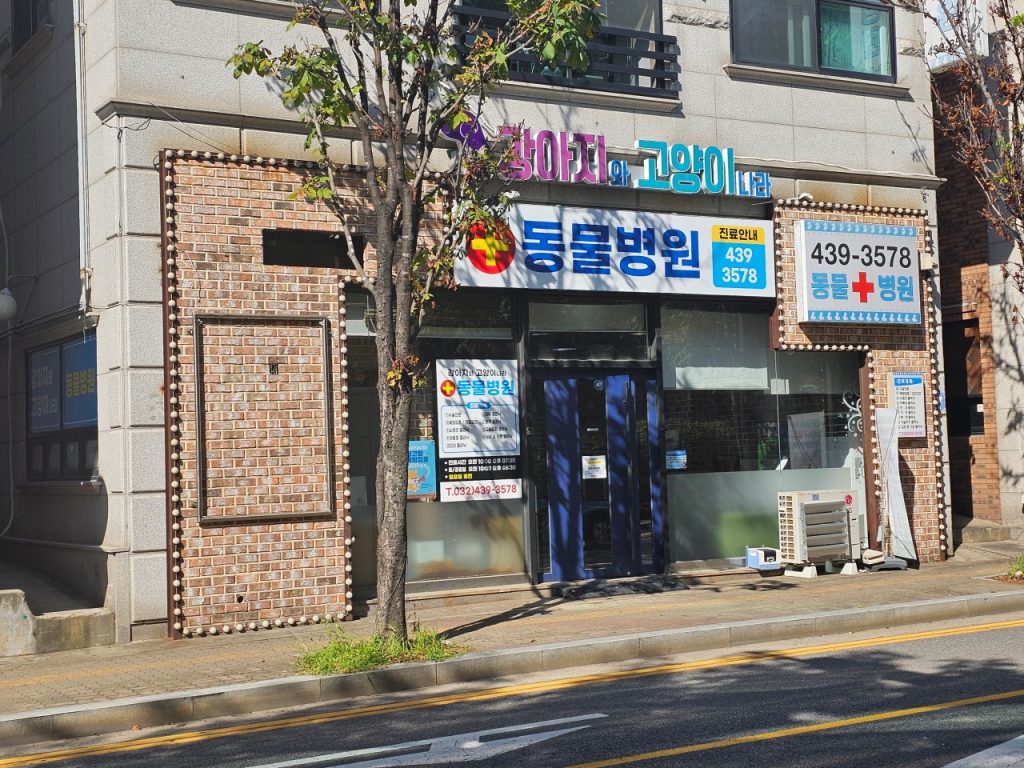 강아지와고양이나라동물병원 사진 1