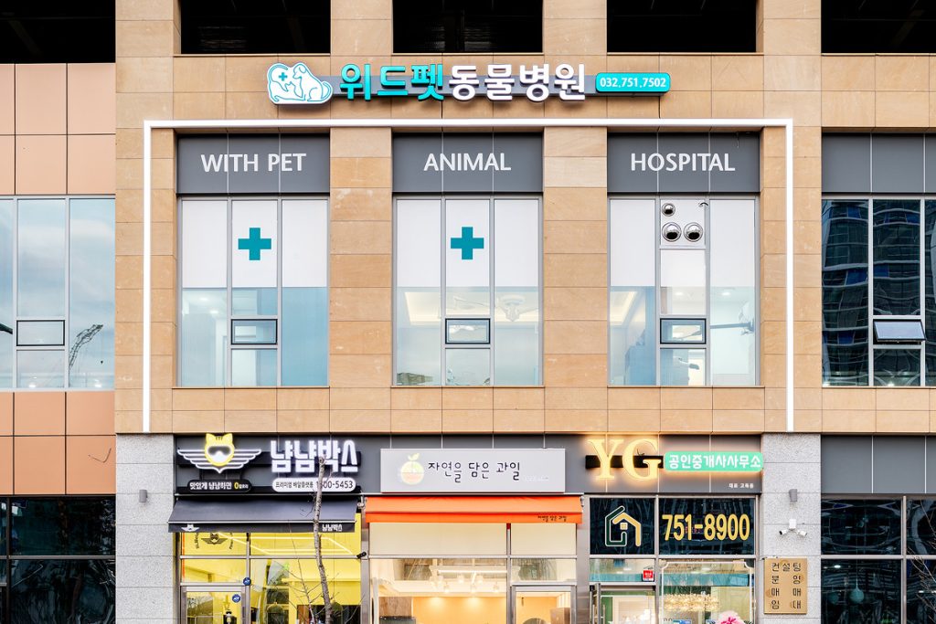 위드펫동물병원 사진 1