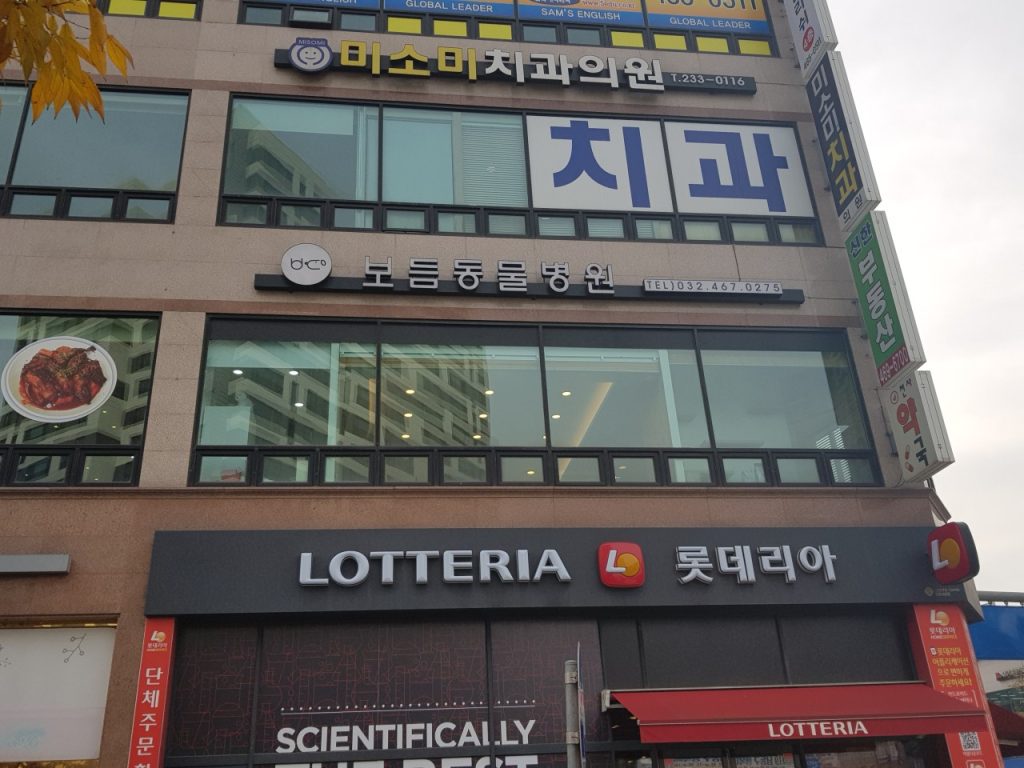 보듬동물병원 사진 1