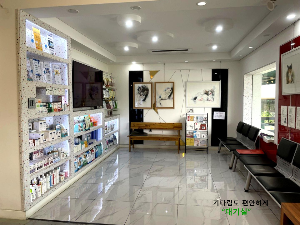 원주 문막동물병원 사진 2
