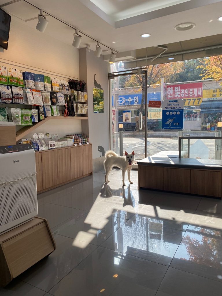 드림동물병원 사진 2