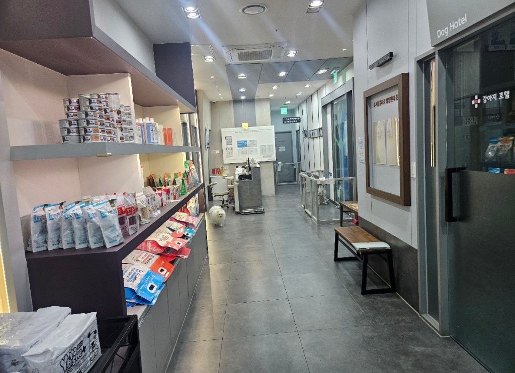 라파엘동물병원 사진 2