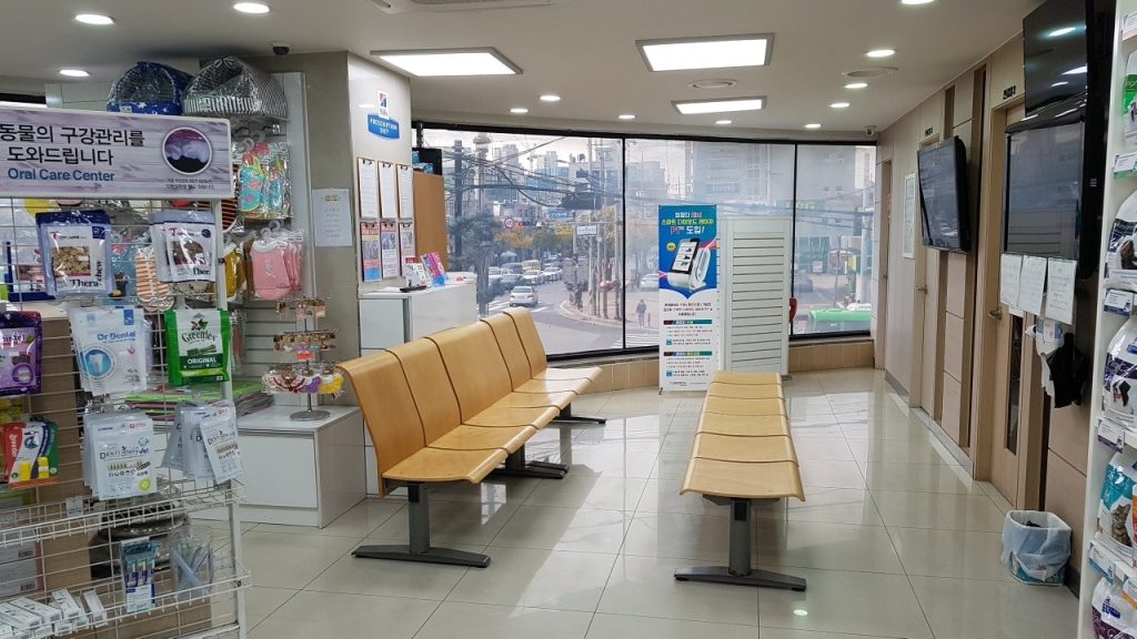 24시건국본동물병원 사진 2