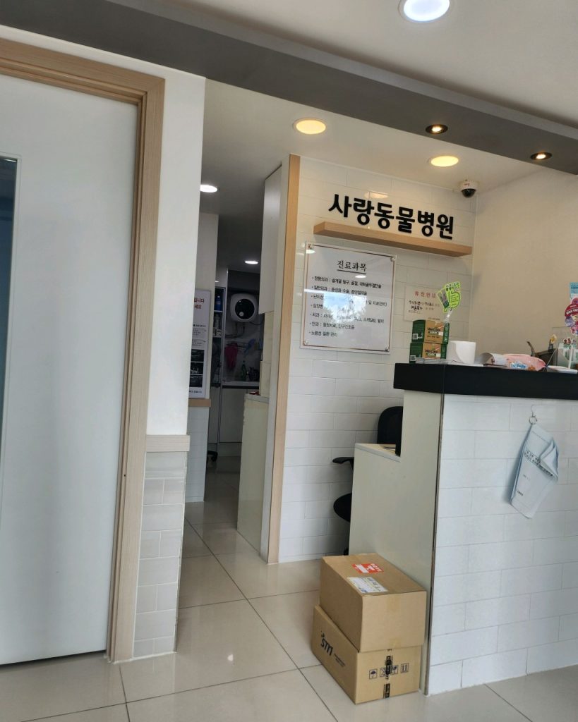 사랑동물병원 사진 2