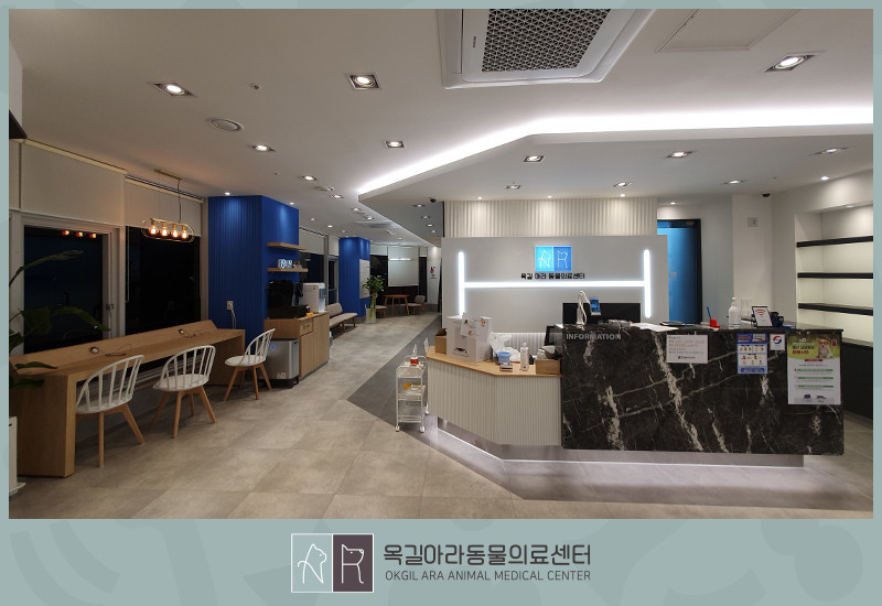24시 옥길아라동물의료센터 사진 2