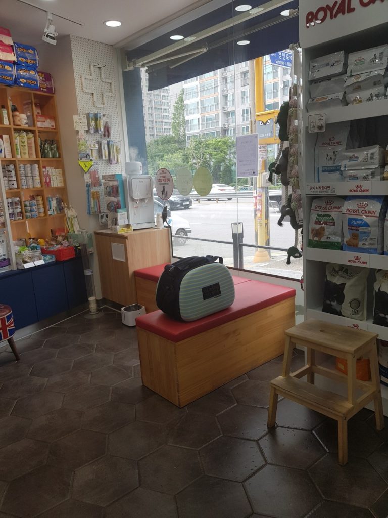 런던동물병원 사진 2
