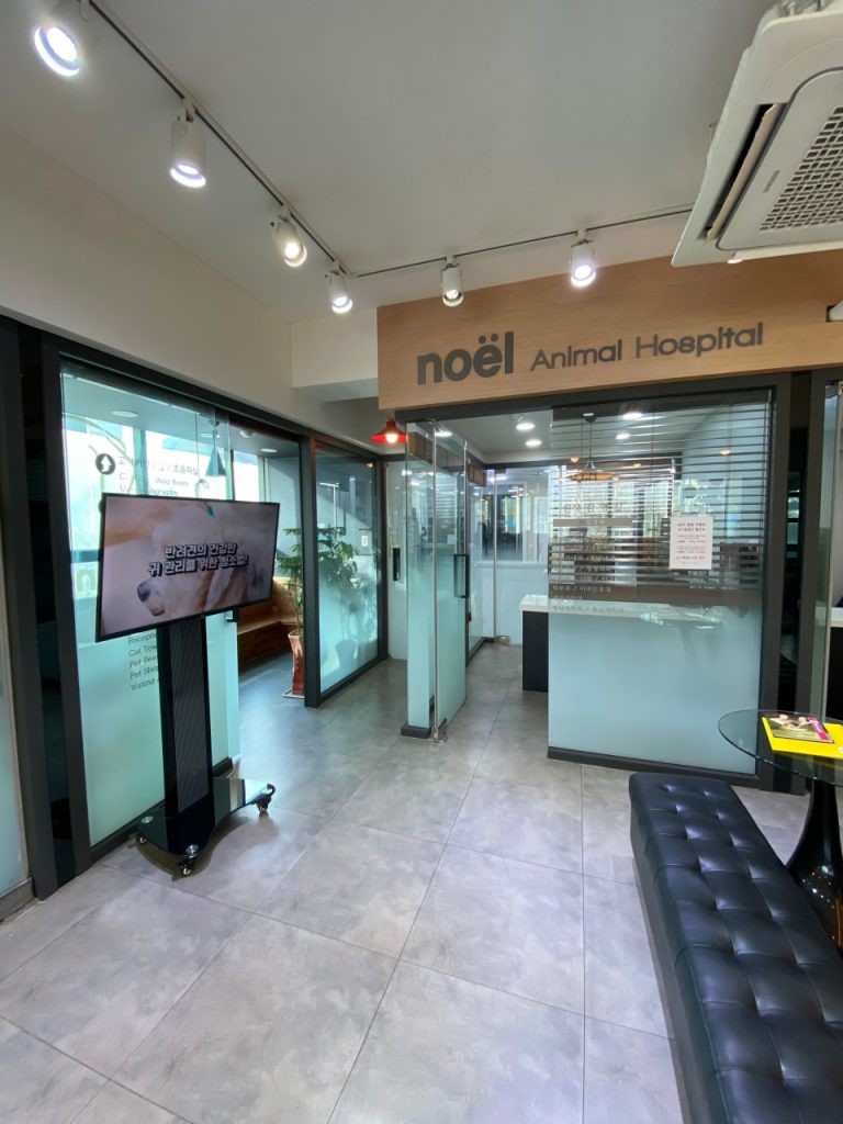 노엘동물병원 사진 2
