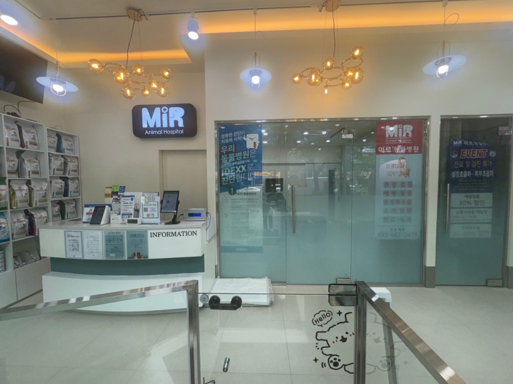 미르동물병원 사진 2
