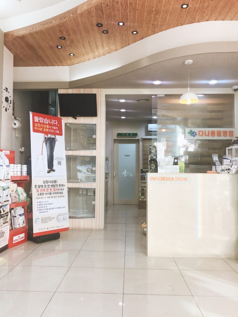 다나동물병원 사진 2