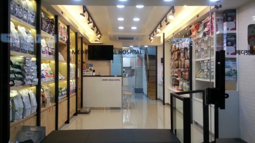 가나반려동물검진센터 사진 2