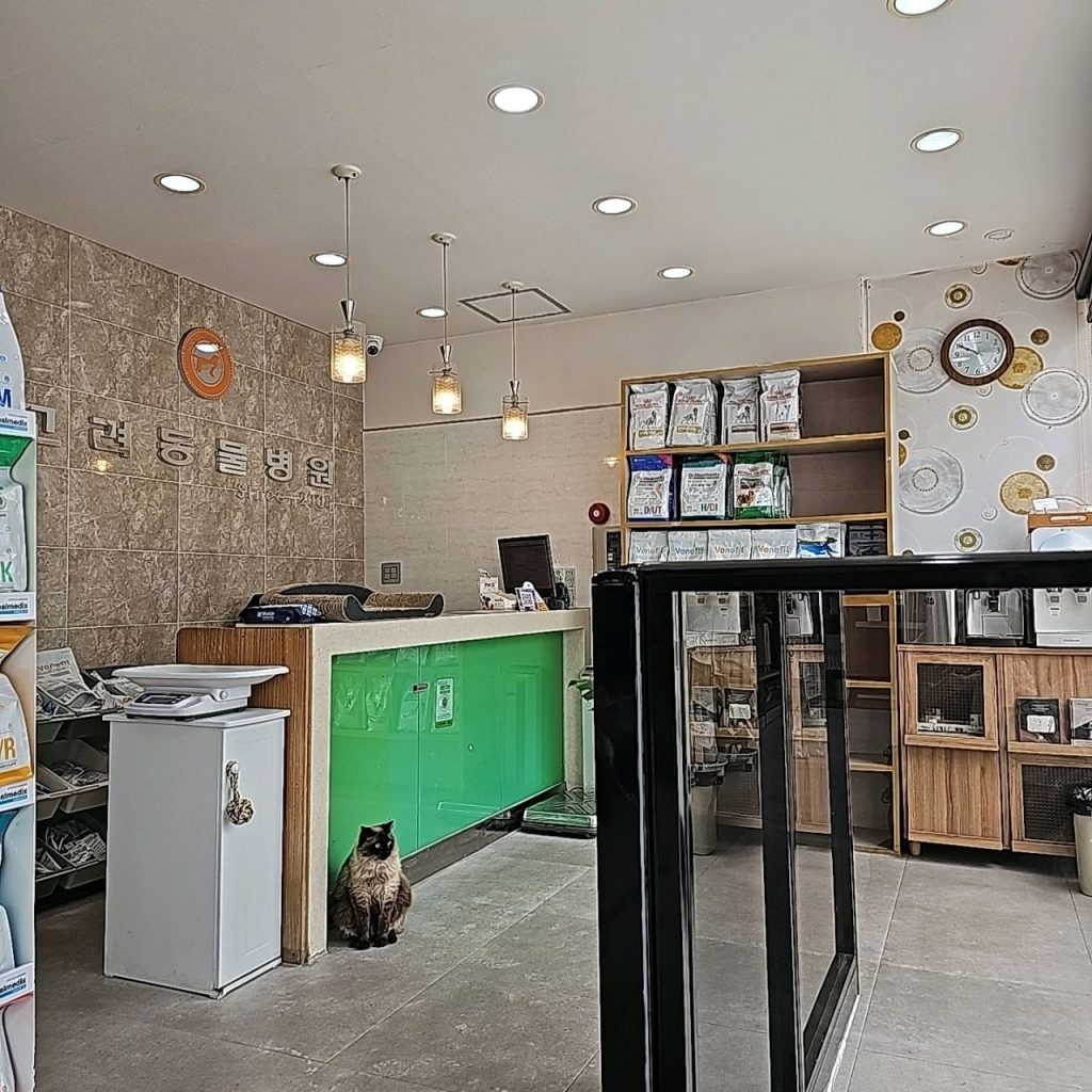 고려동물병원 사진 2