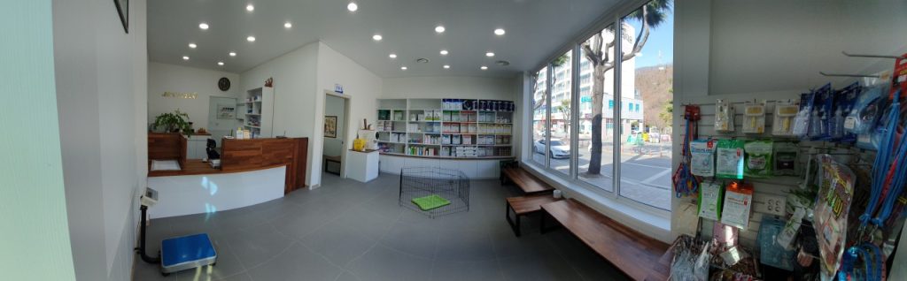 삼척동물병원 사진 2