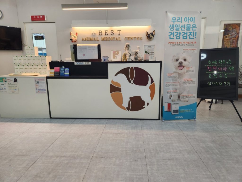 베스트동물병원 사진 2