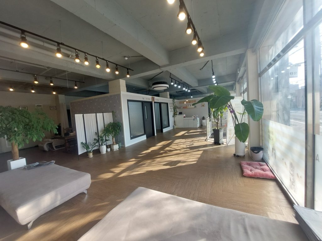 25세동물병원 사진 2