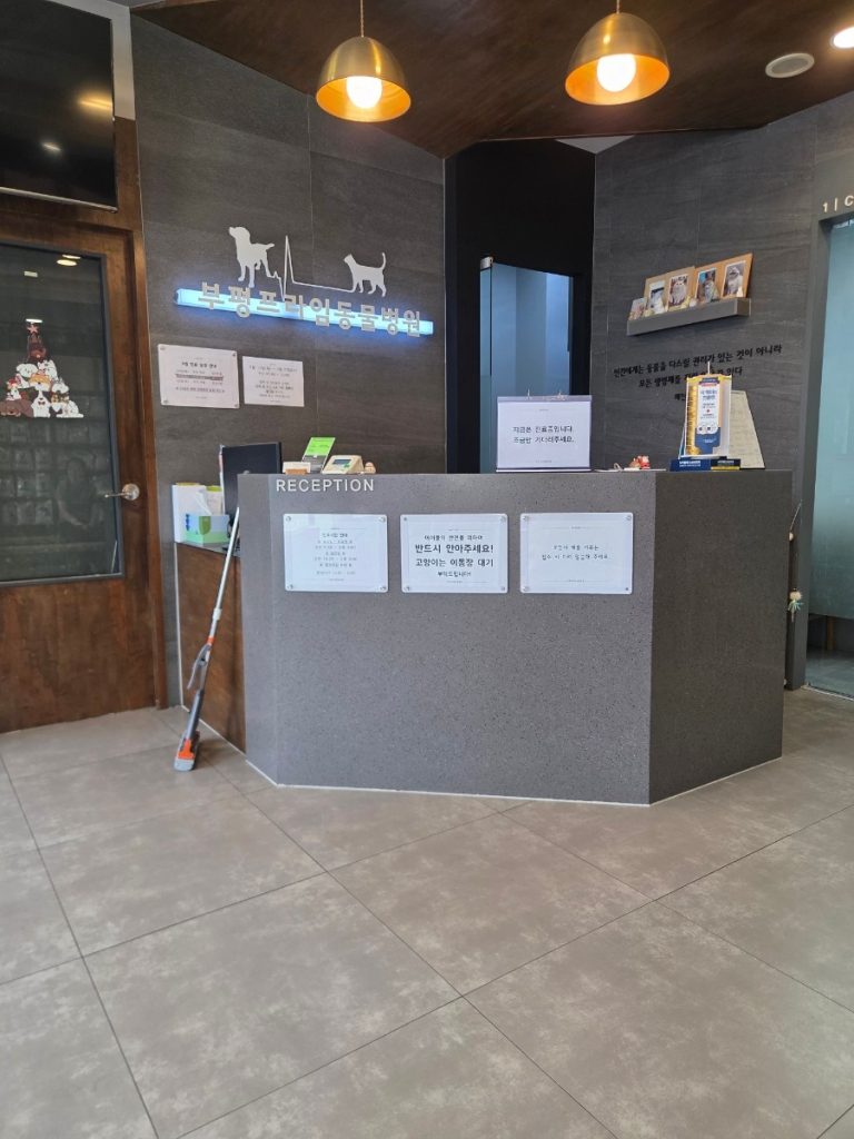 부평프라임동물병원 사진 2