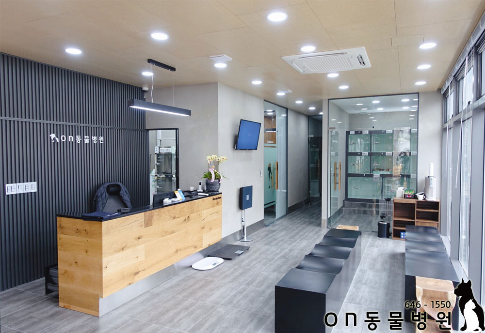 on동물병원 사진 2