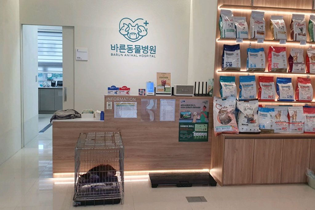 바른동물병원 사진 2