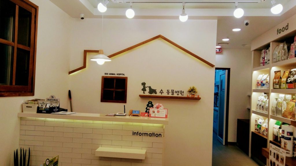 수동물병원 사진 2