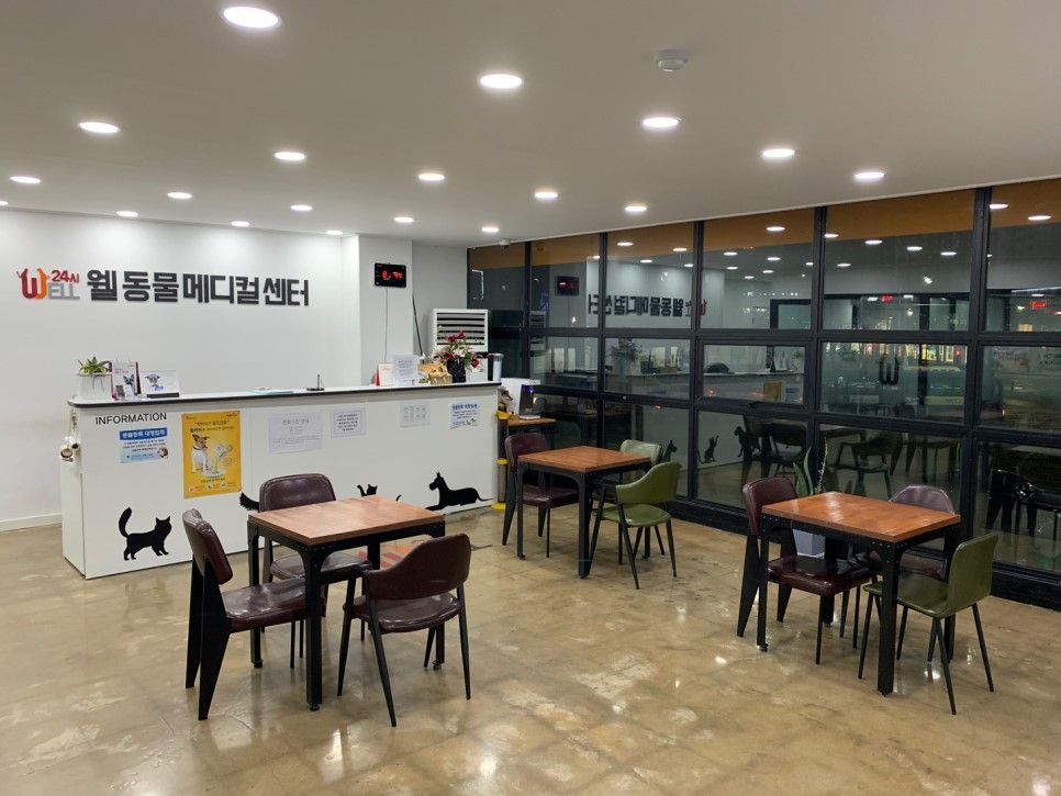웰동물메디컬센터 사진 2