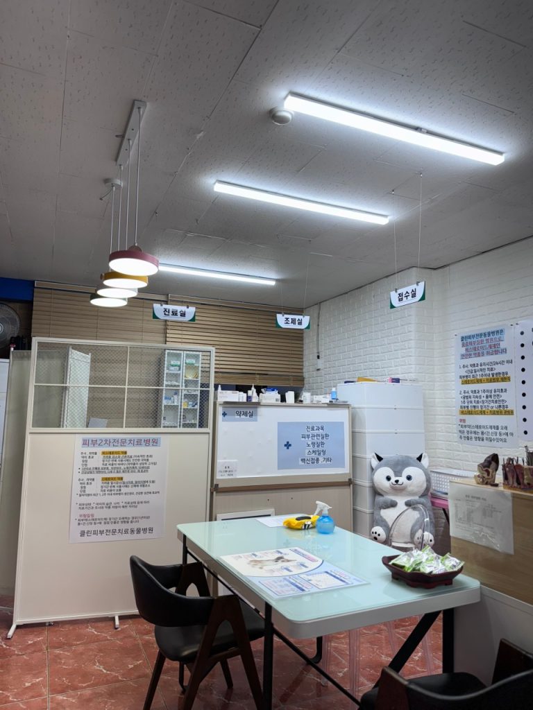 클린피부전문동물병원 사진 2