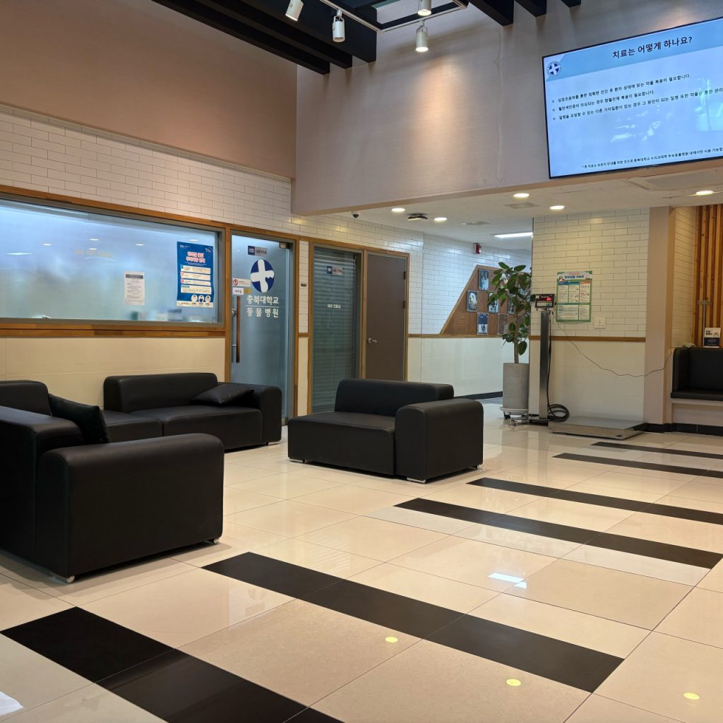 충북대학교 동물병원 사진 2