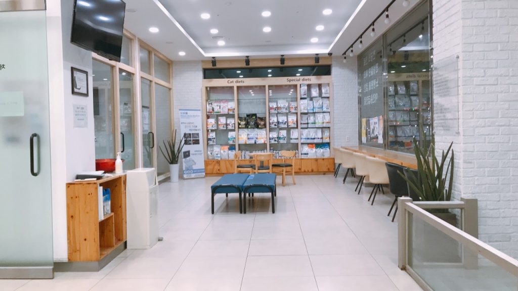 엘케이동물의료센터 사진 2
