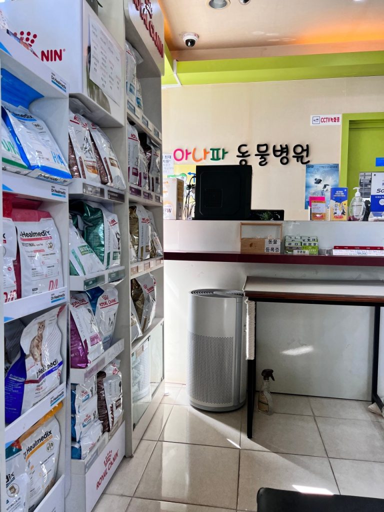 아나파동물병원 사진 2
