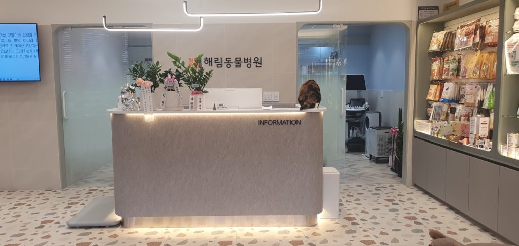 해림동물병원 사진 2