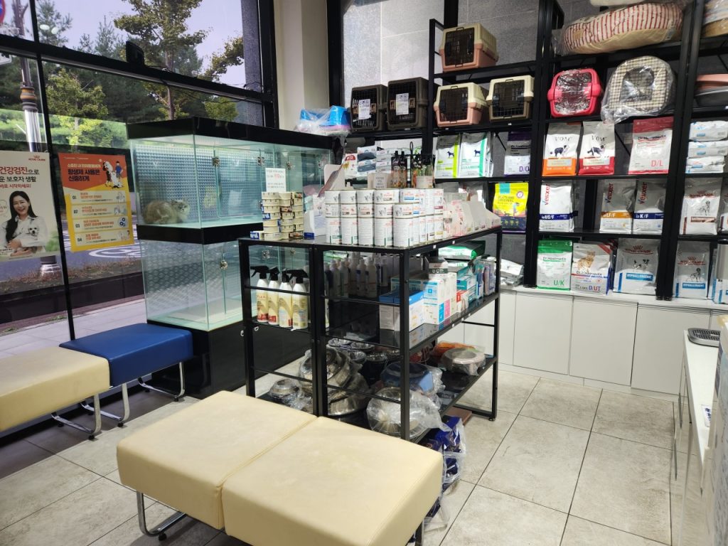 신공항동물병원 사진 1