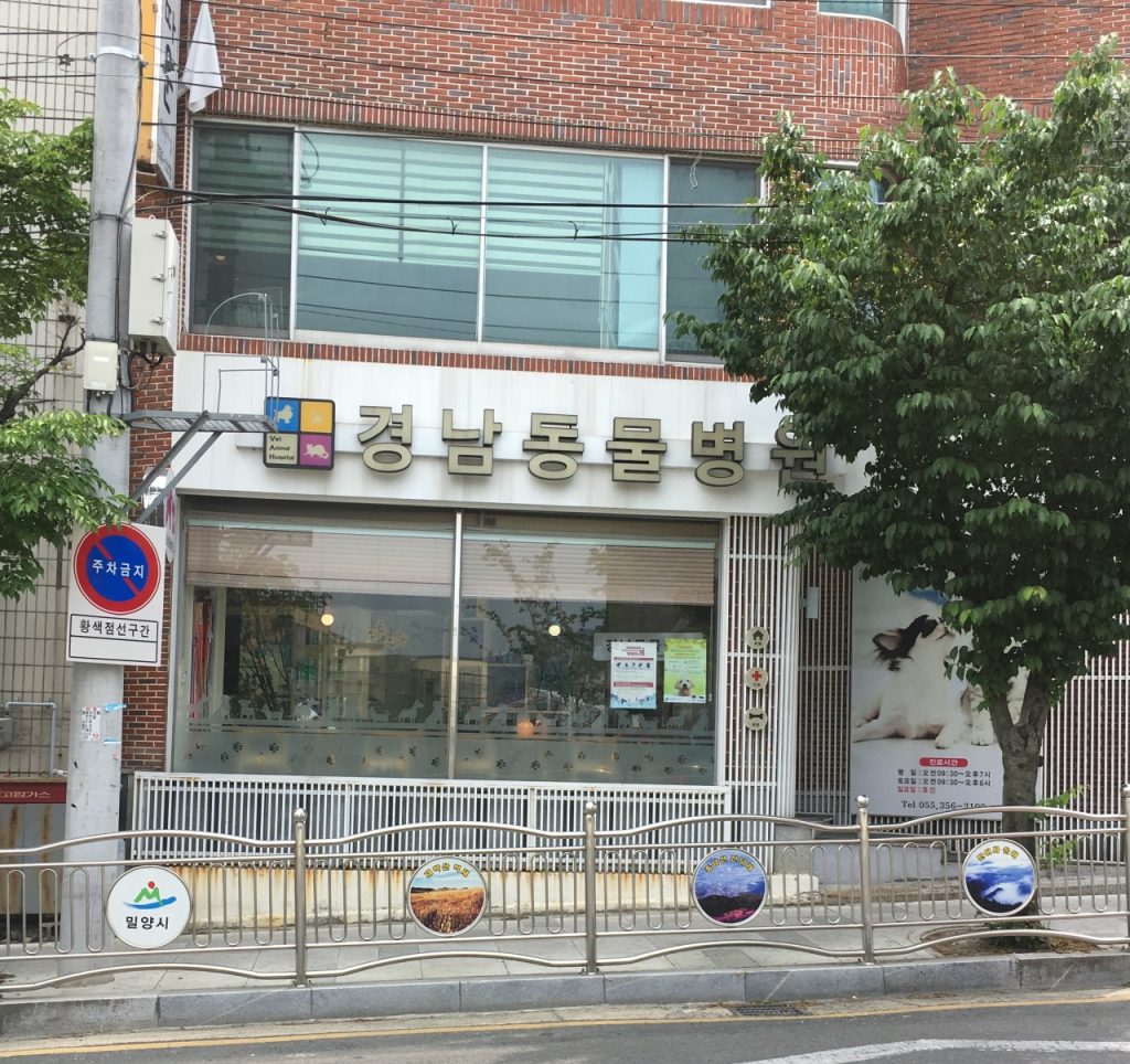 경남동물병원 사진 1